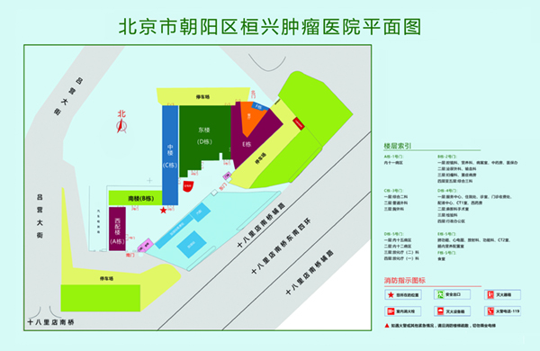 插逼视频骚货北京市朝阳区桓兴肿瘤医院平面图